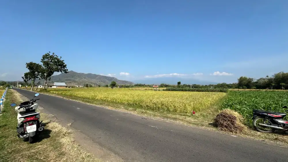 Tanah Bandara Mangku Aspal Hadap Ketimur Strategis dan Banyak Benefit