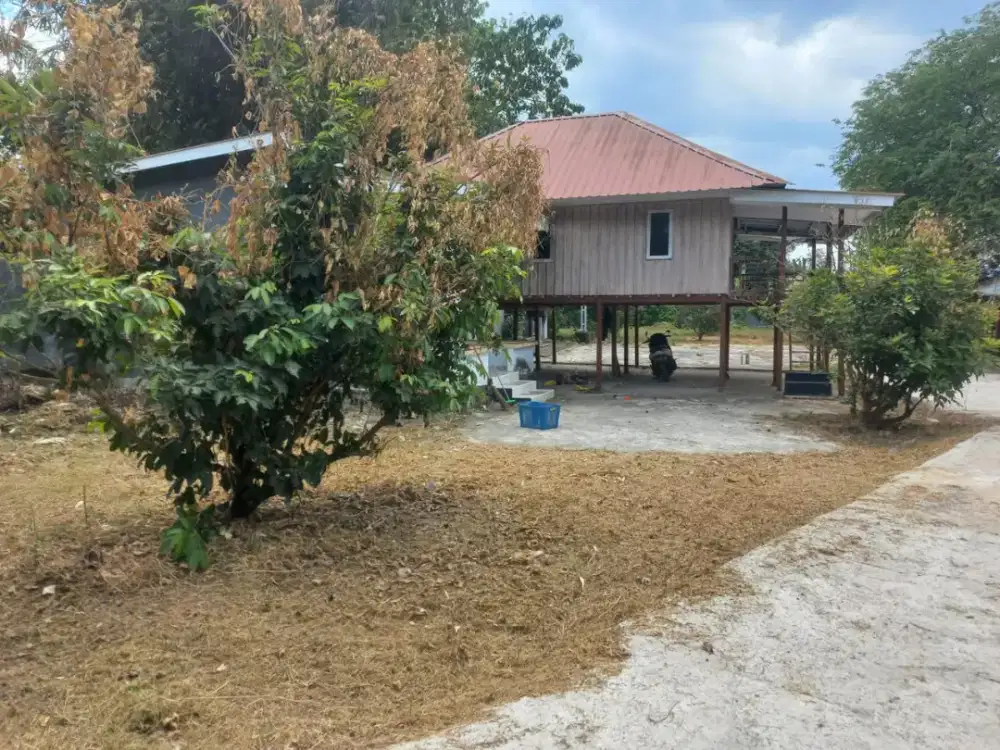 Jual Cepat Tanah Luas 3.650m di Limbung, Bajeng, Gowa - Harga Nego!