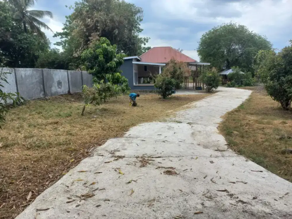 Jual Cepat Tanah Luas 3.650m di Limbung, Bajeng, Gowa - Harga Nego!