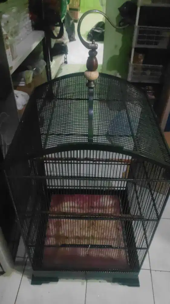 Jual cepat sangkar khosan asli 100% uk 50
