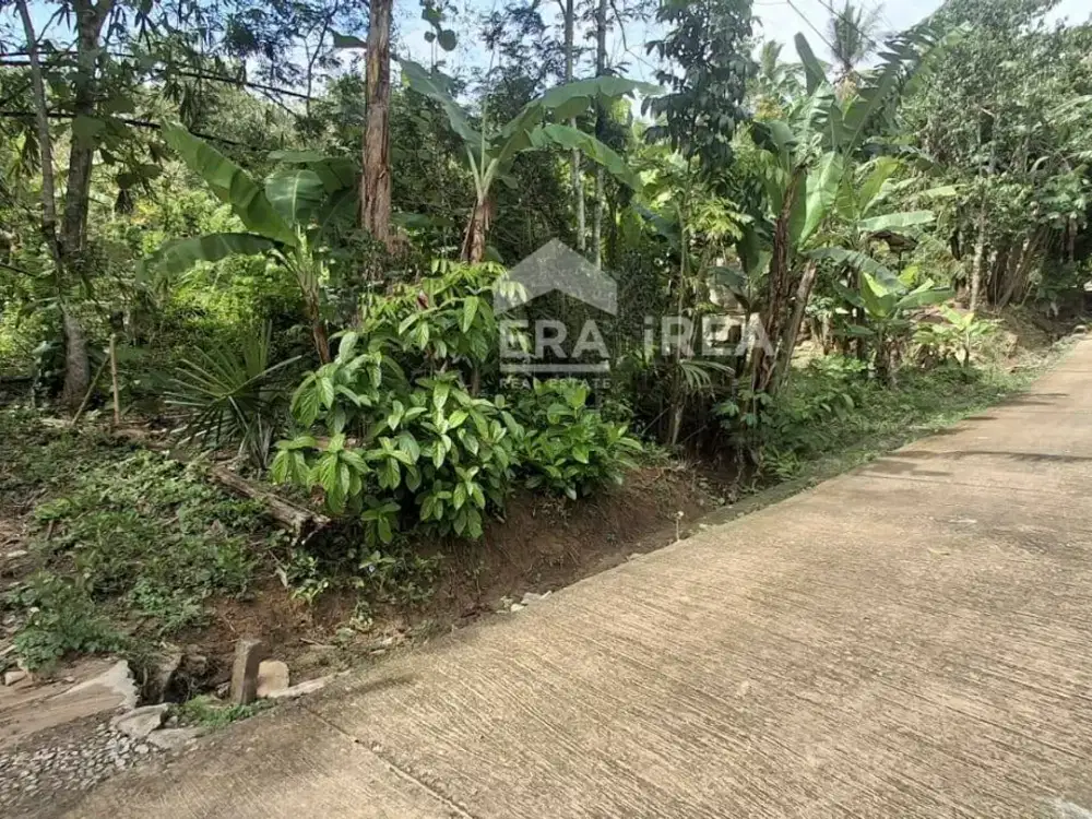 TANAH JOGJA DIJUAL DEKAT KAMPUS UMY