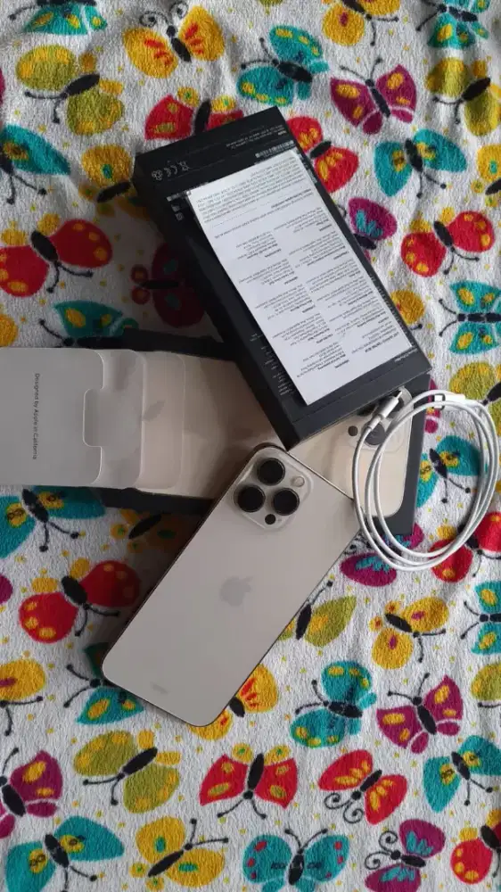 iPhone 13 Pro Max IBOX BH 91