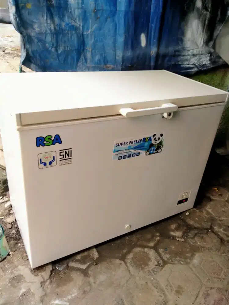 Frezer box 310 liter RSA