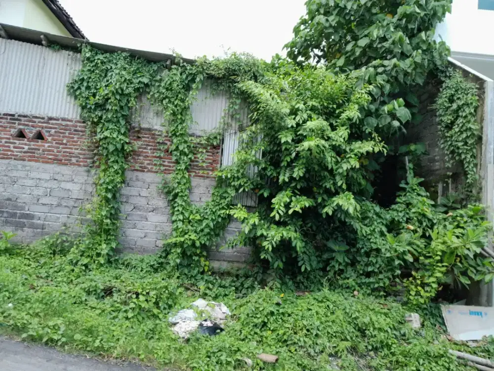 DIJUAL TANAH STRATEGIS – CARGO TAMAN 3, DENPASAR UTARA ( RB )