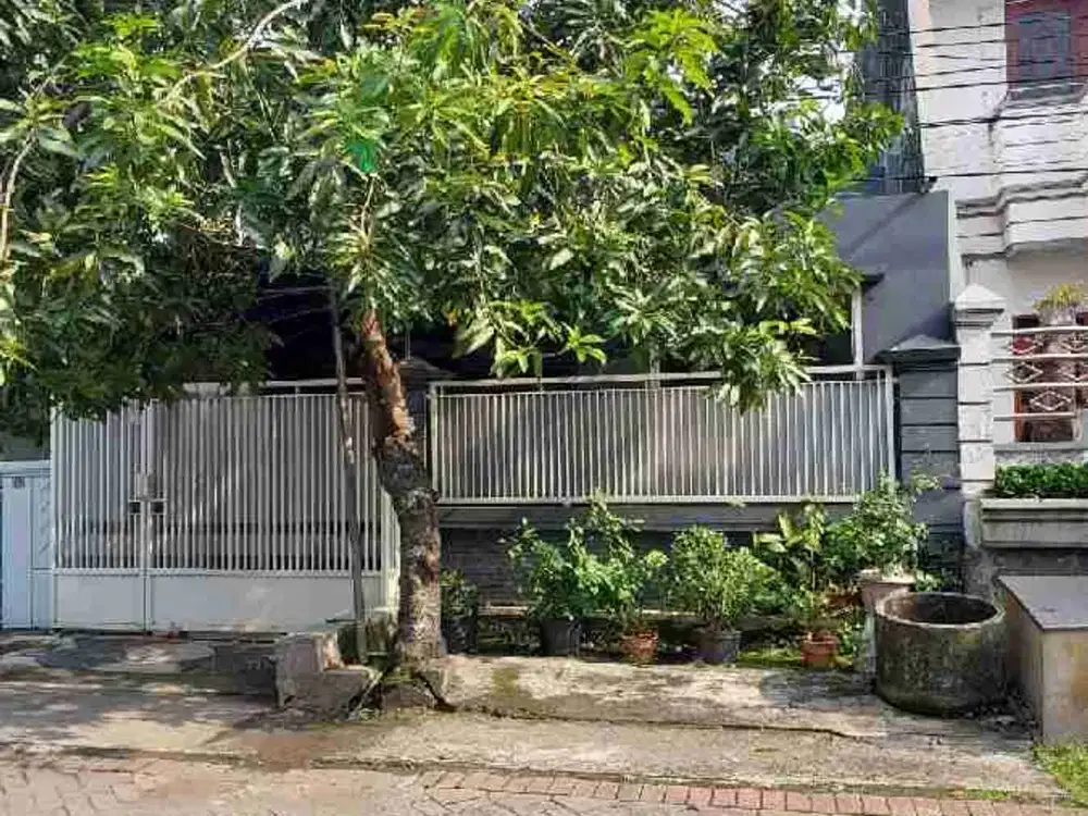 DISEWAKAN RMH SIAP HUNI AMAN&TENANG ROW JLN 8 METER DUKUH KUPANG