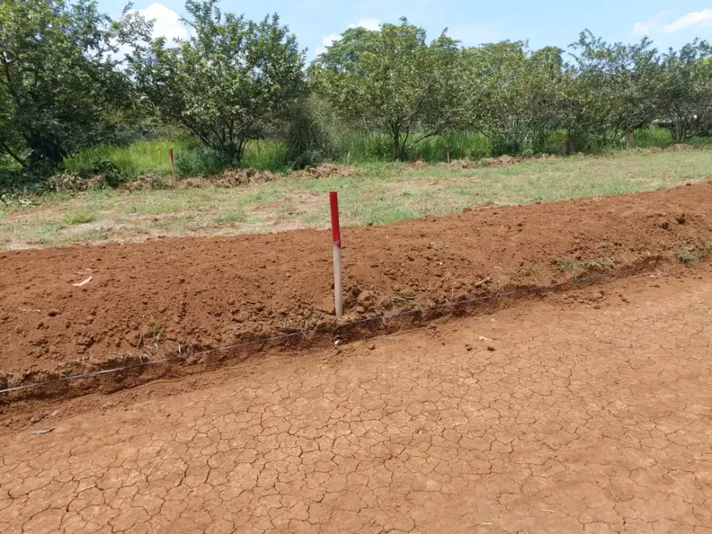Tanah Kavling Murah Siap Bangun 15 Menit Stasiun Cilebut Free SHM