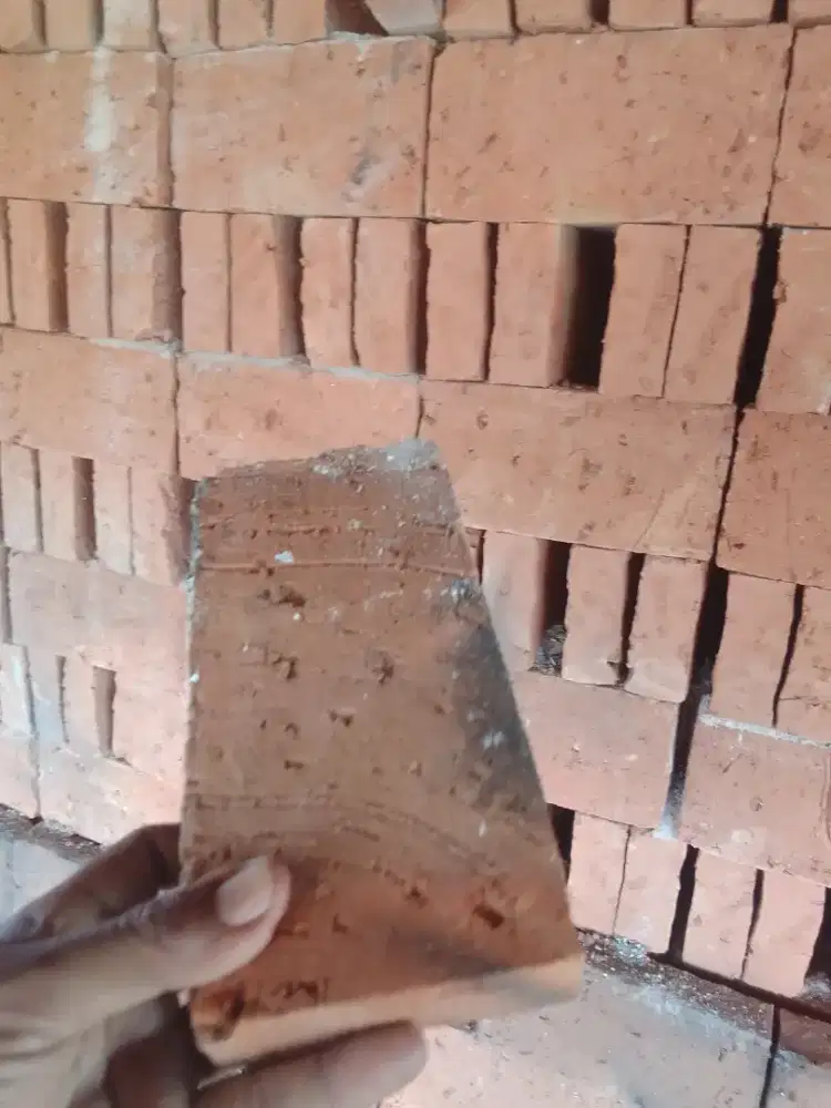 Bata merah bagus berkwallitas