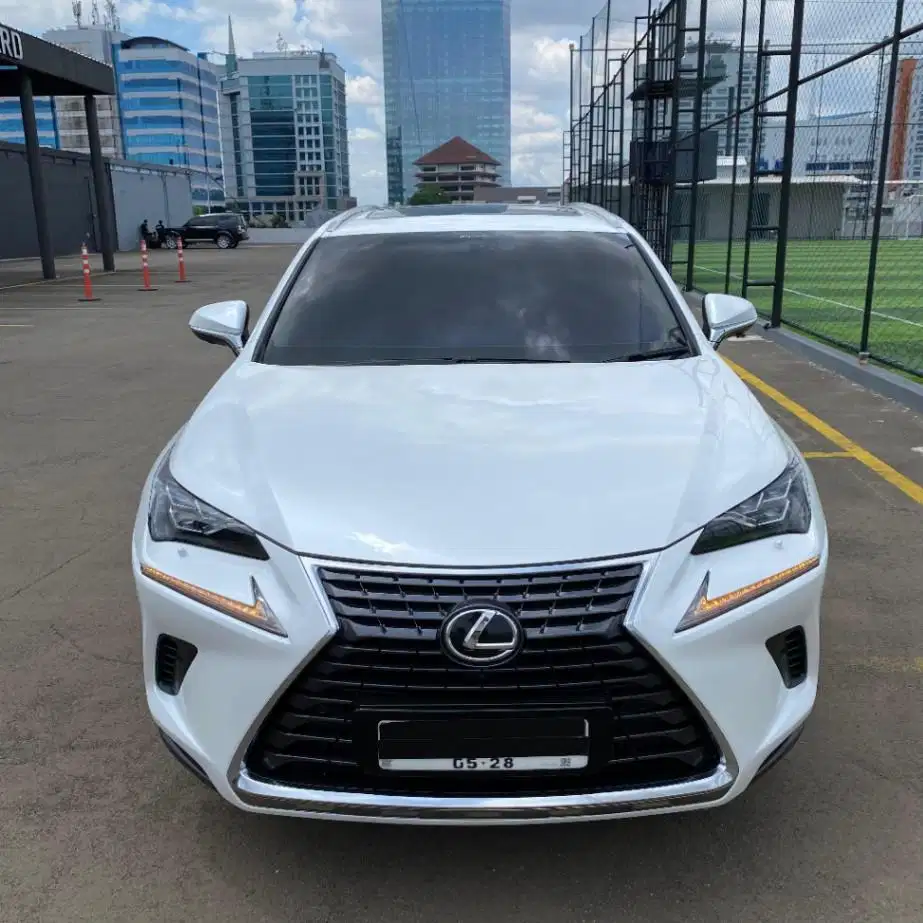Lexus NX300 Tahun 2018