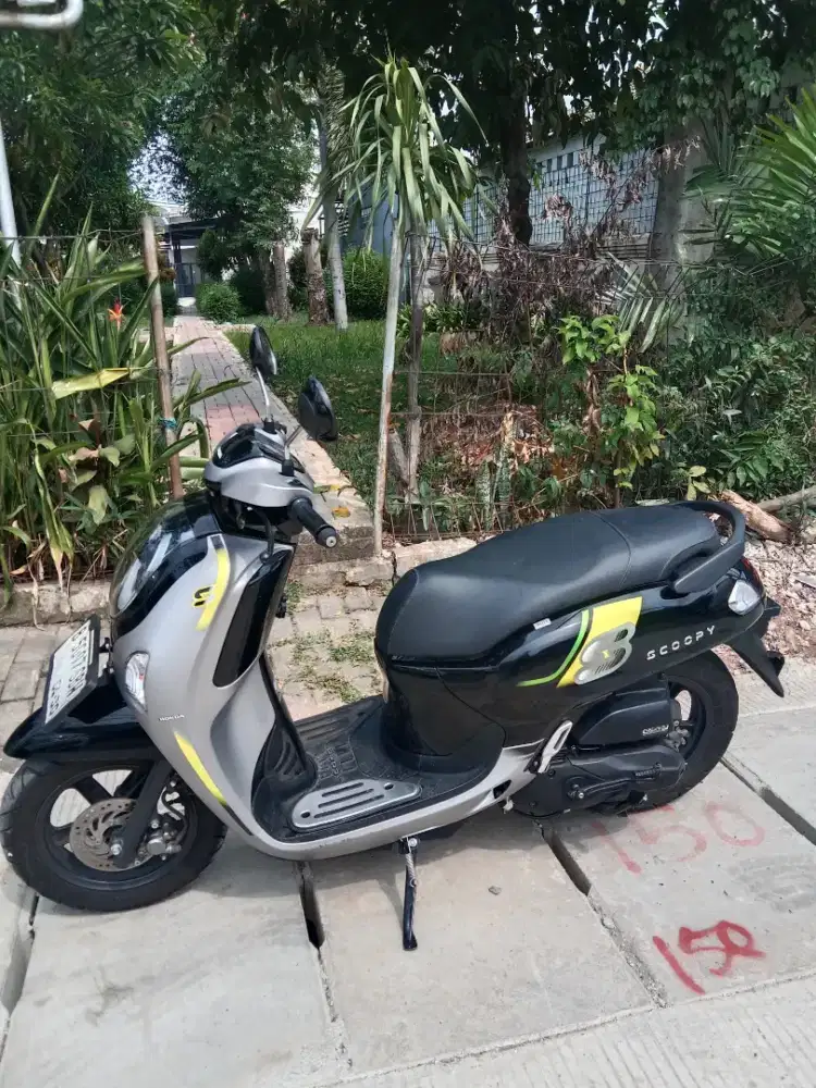 Scoopy 2024 New
