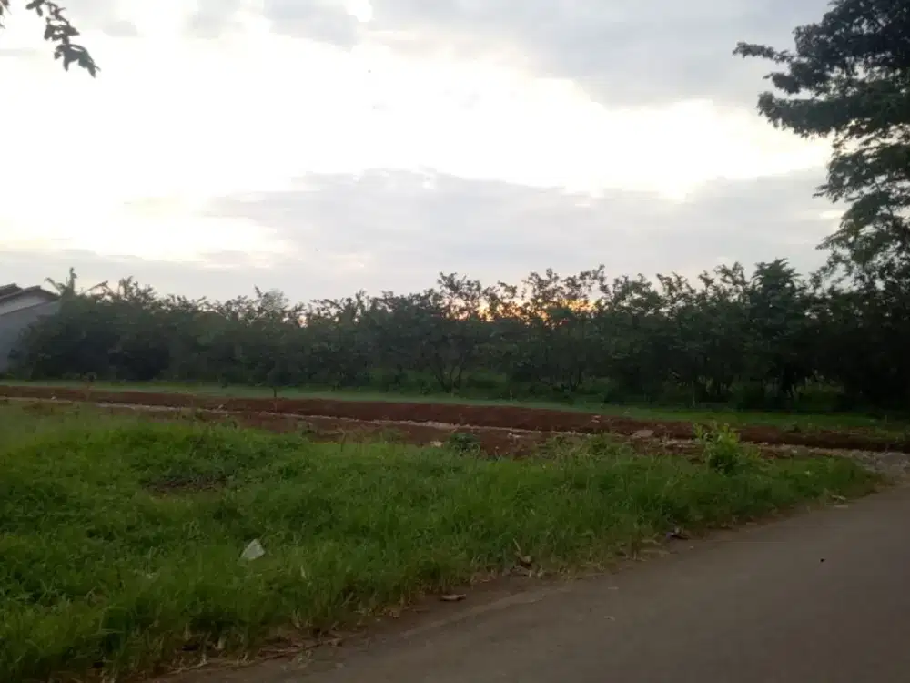 10 Menit Pintu Toll Borr Yasmin Tanah Kavling Murah Free SHM