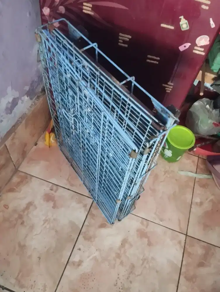 Kandang kucing bekas uk 60
