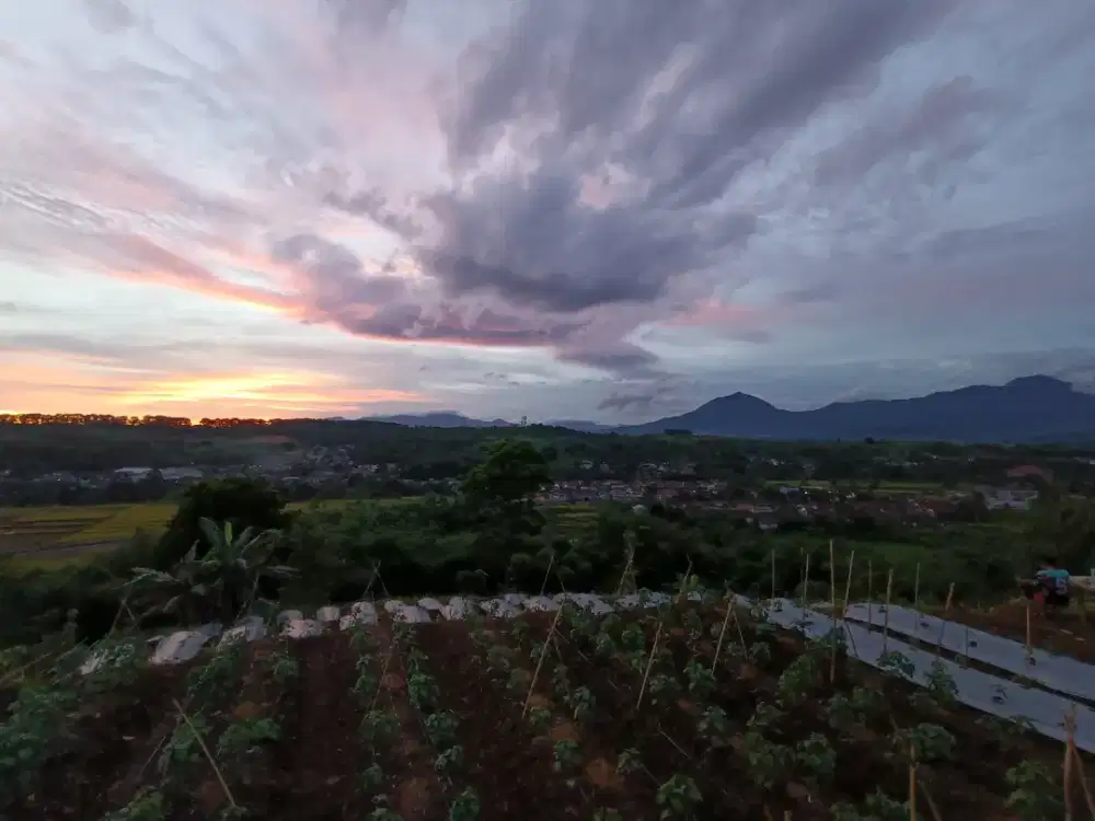 Loker untuk art dan jaga rumah