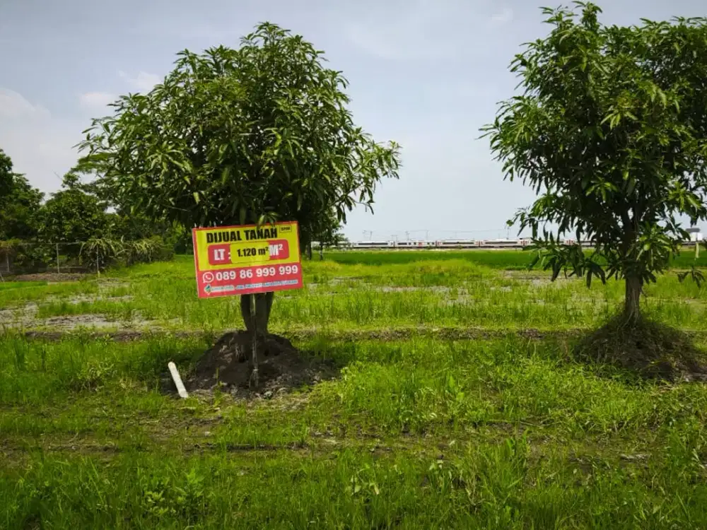Dijual Lahan Produktif di Pilang Kedawung Cirebon Jawa Barat
