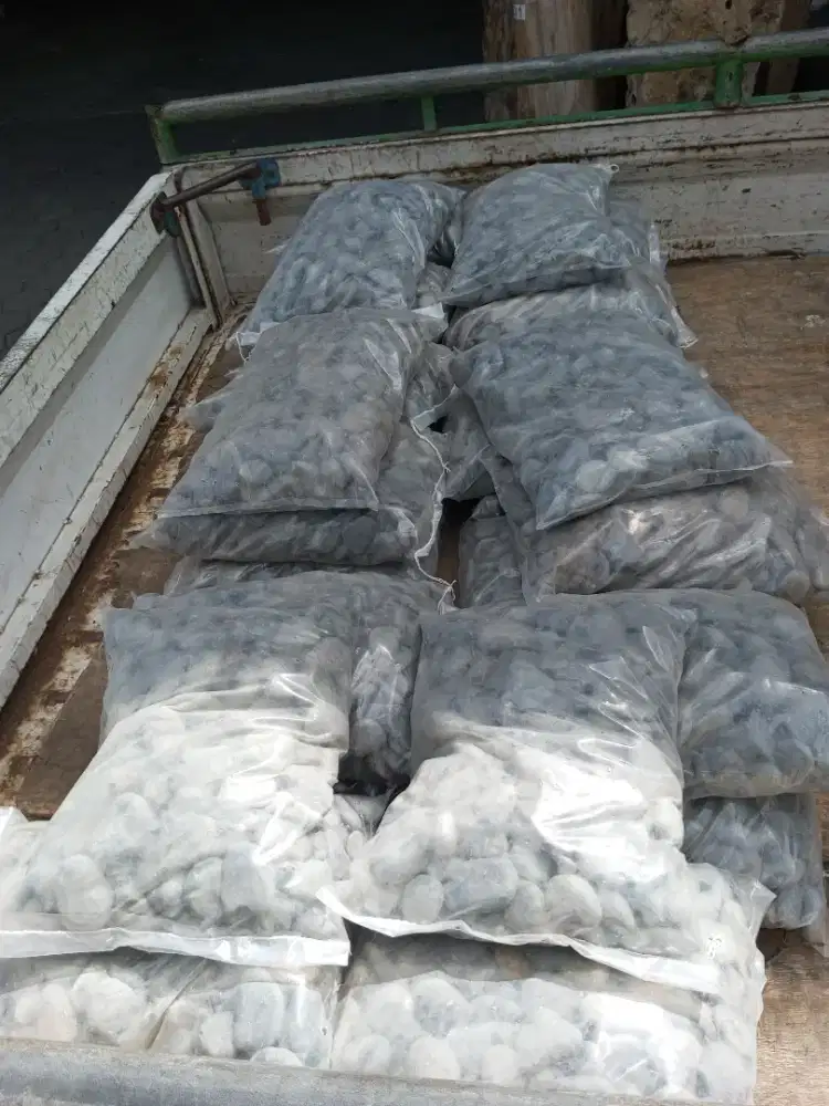 Batu Koral Sumba Hitam