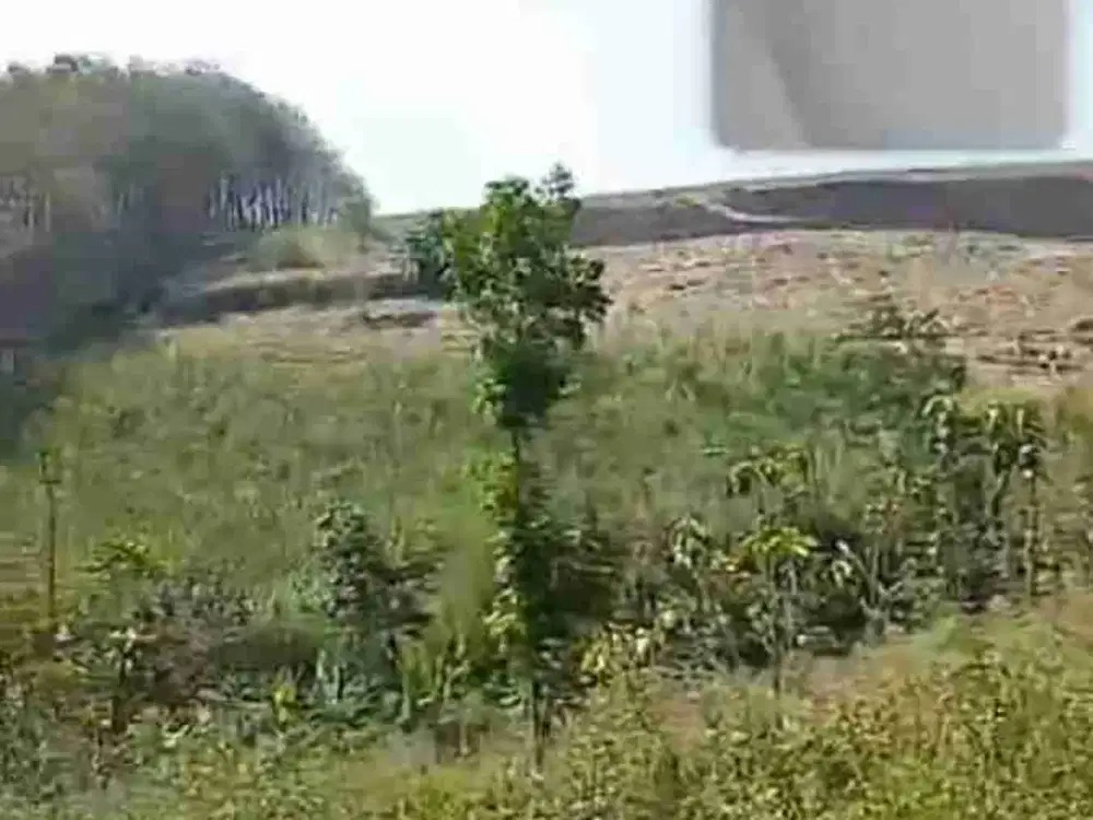 Di jual Tegal murah Karanganyar