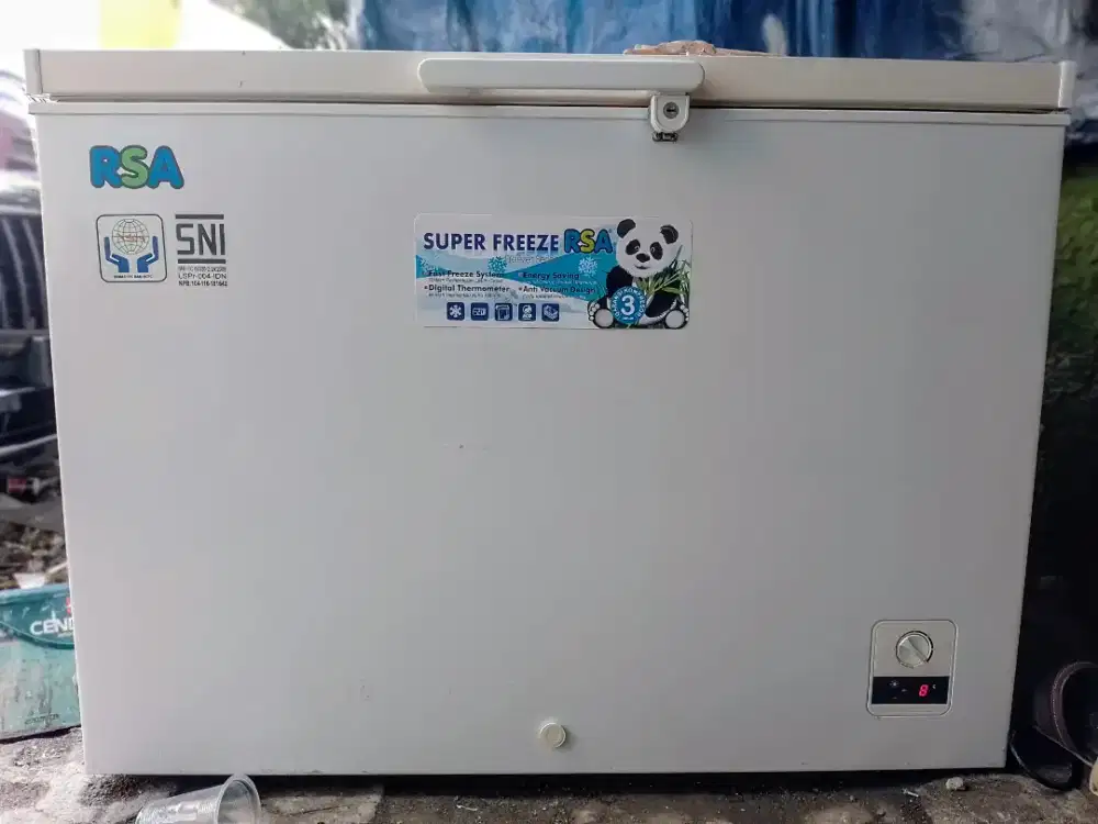 Freezer Box RSA 310 L