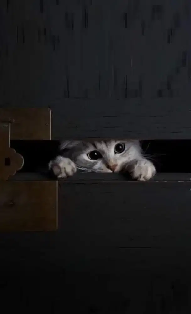 Lowongan Kerja ART Laki-laki dan Wanita