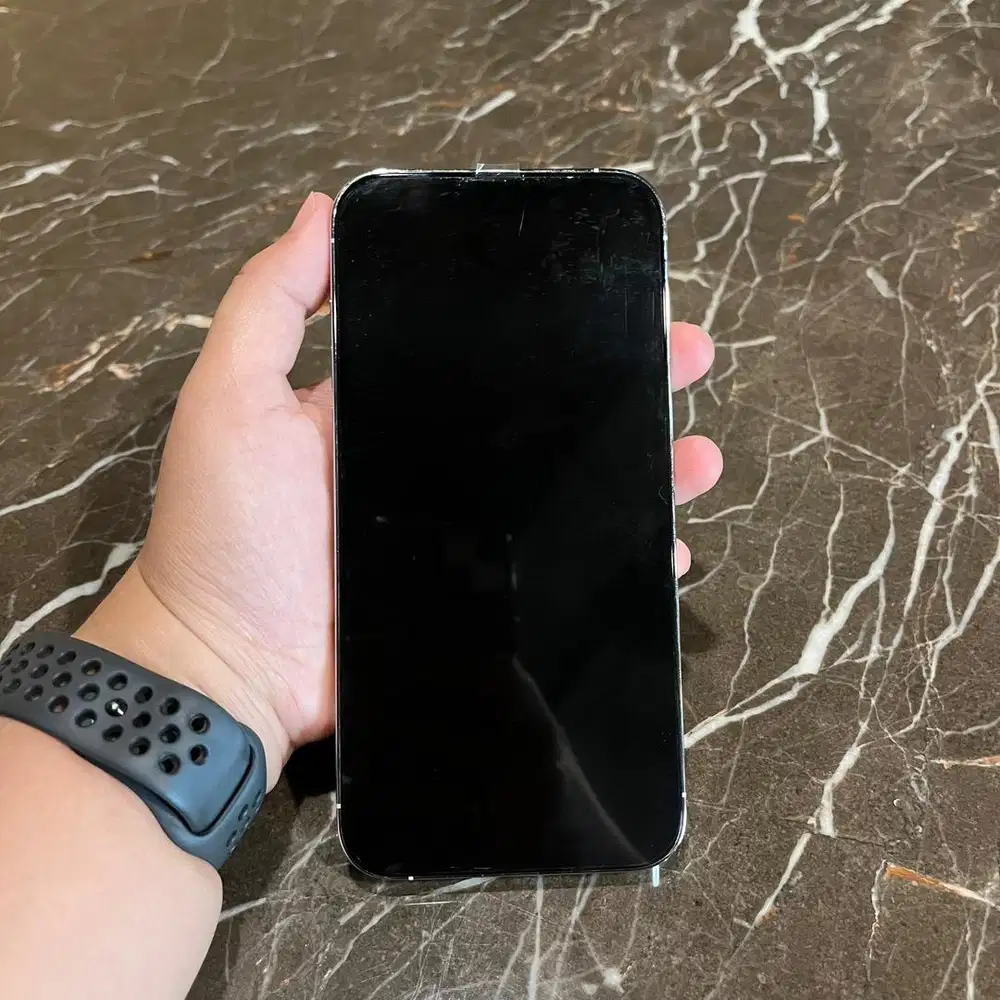 IPhone 13 pro max 256gb