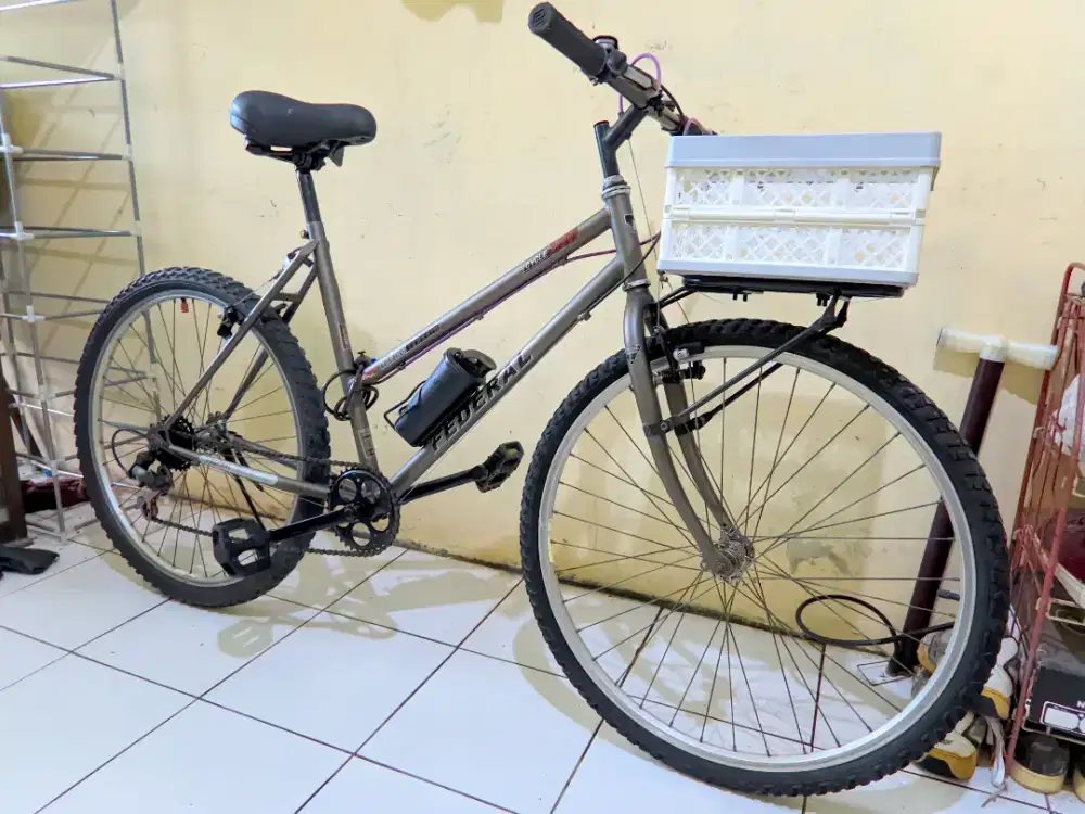 Sepeda federal commuter lady