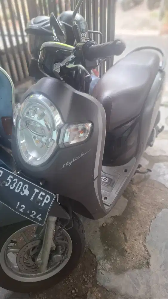 Honda scoopy 2019