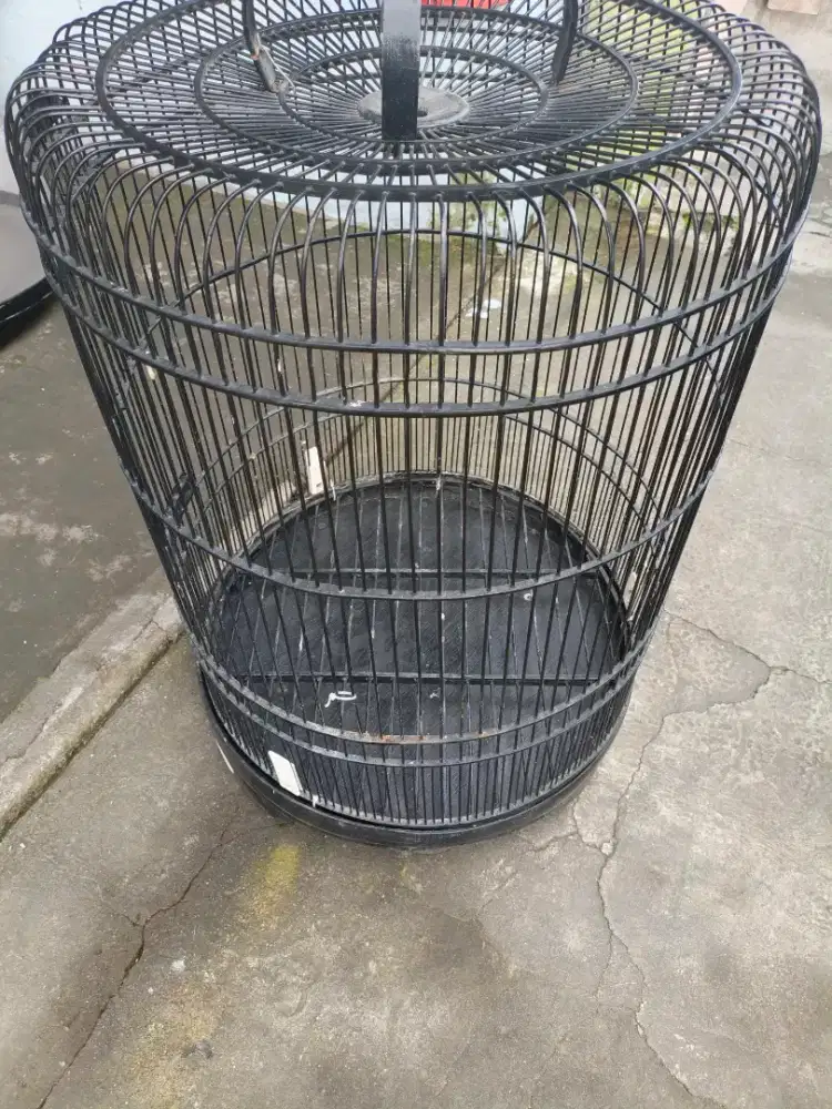 Sangkar burung murai batu