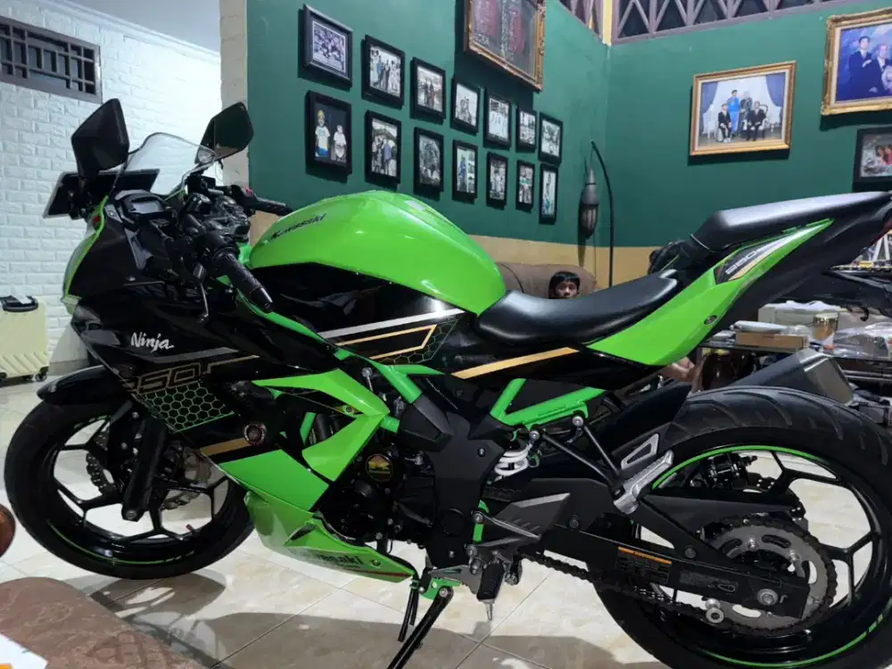 Kawasaki ninja 250 SL mono