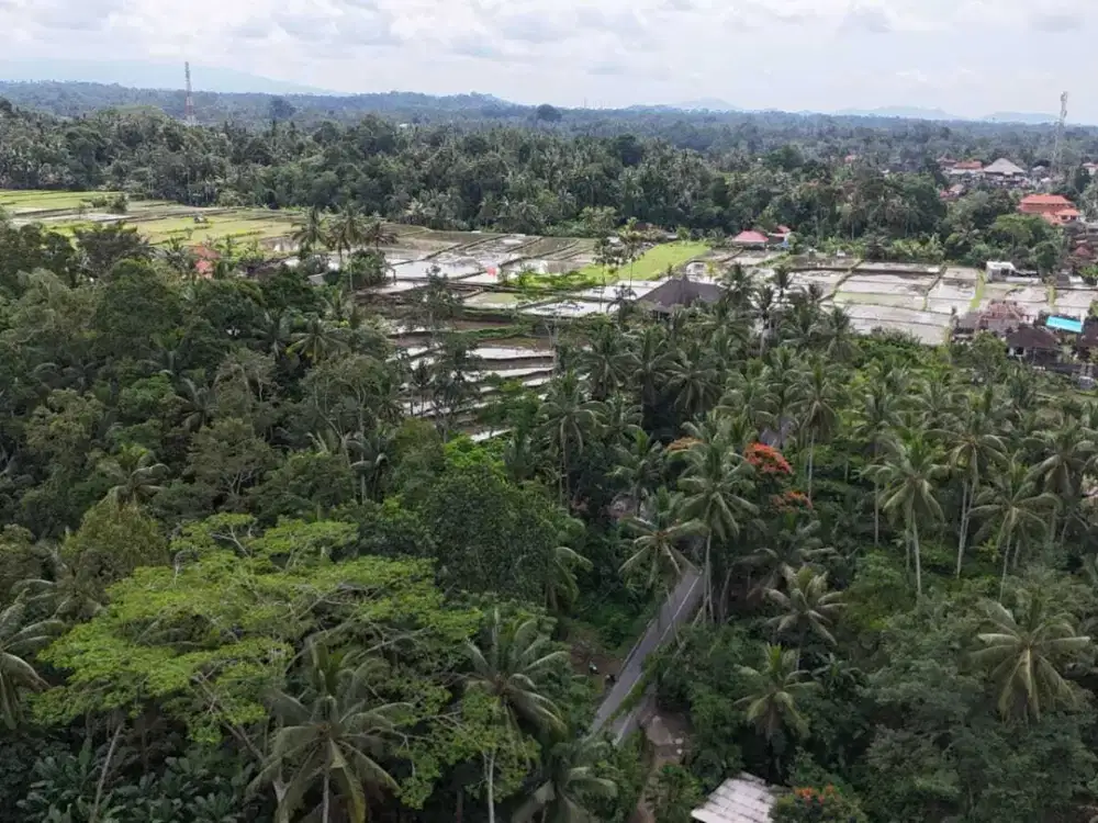 Tanah Plot Kecil View Sawah Dekat Capella Ubud Bali