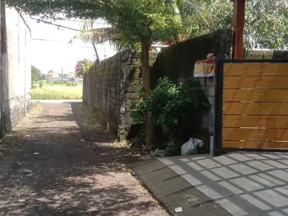 Dijual Tanah 1,35 Are Lokasi Bagus di Tabanan Bali