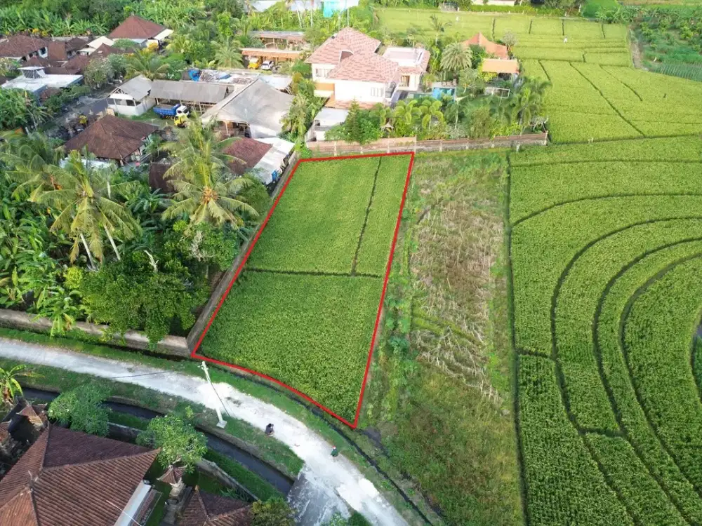 Tanah View Sawah Tibubiyu Pasut Tabanan Bali
