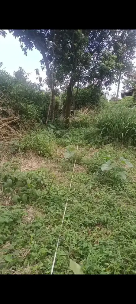 Tanah dlam proses shm jual murah