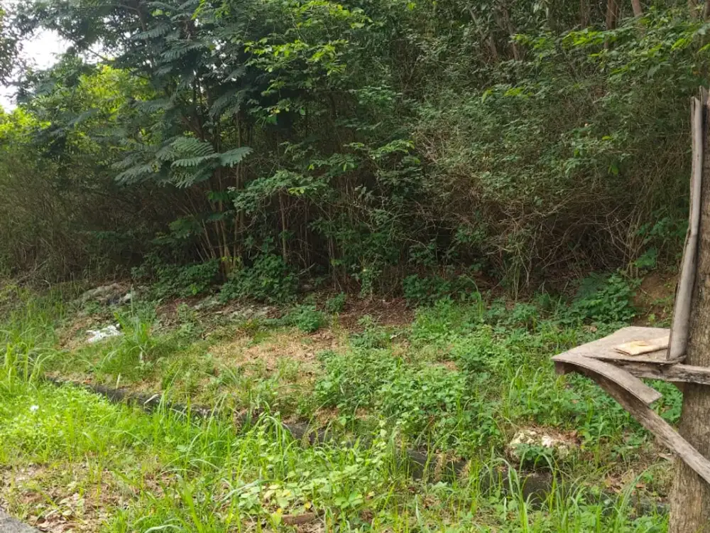 Dijual Cepat Kavling Taman Simpruk – Lippo Cikarang, Hanya 3.5 JT / m²