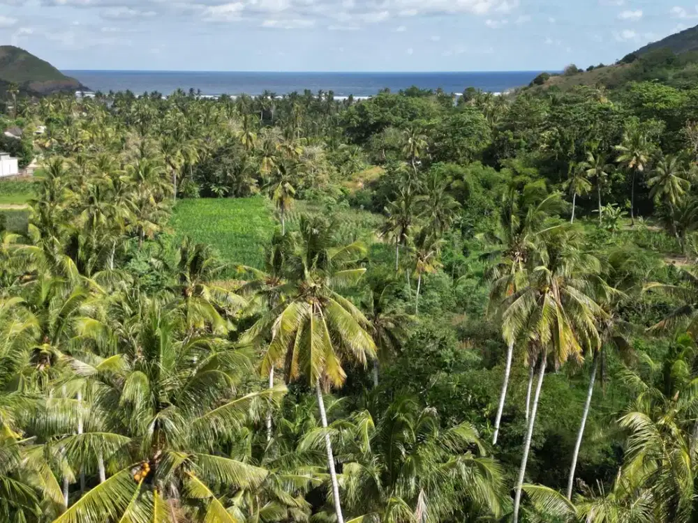 Tanah kapling flat dan view laut prabu areguling dekat Kuta