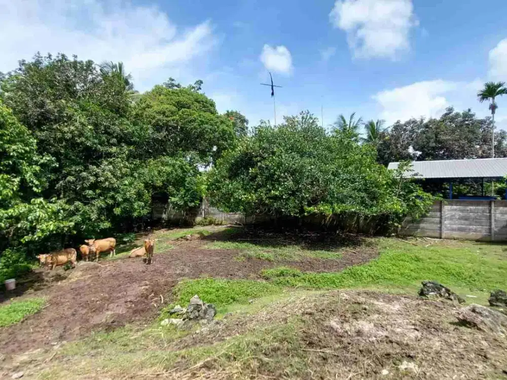 Tanah Los Sungai Di Dekat Pantai Nyanyi Bali