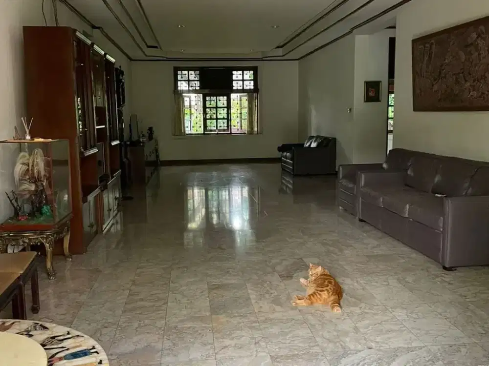 Rumah Cantik Menteng Jual Cepat ada Lokasi Prestige dan Nyaman