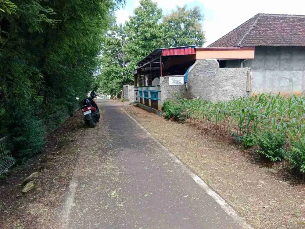 Pekarangan murah 250m² 2 muka 10m&25m, timur BRI godok, kenokorejo polokarto