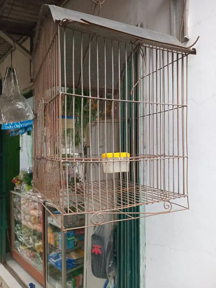 Kandang burung beo, jalak dari besi 150k