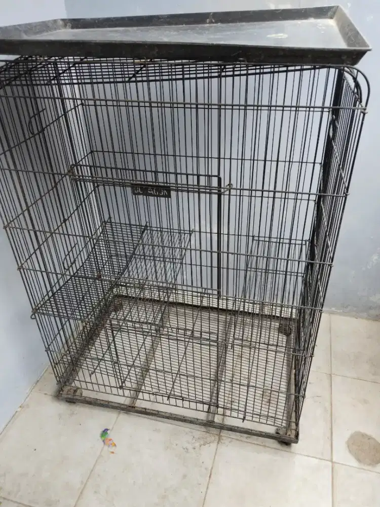 Jual cepat kandang kucing