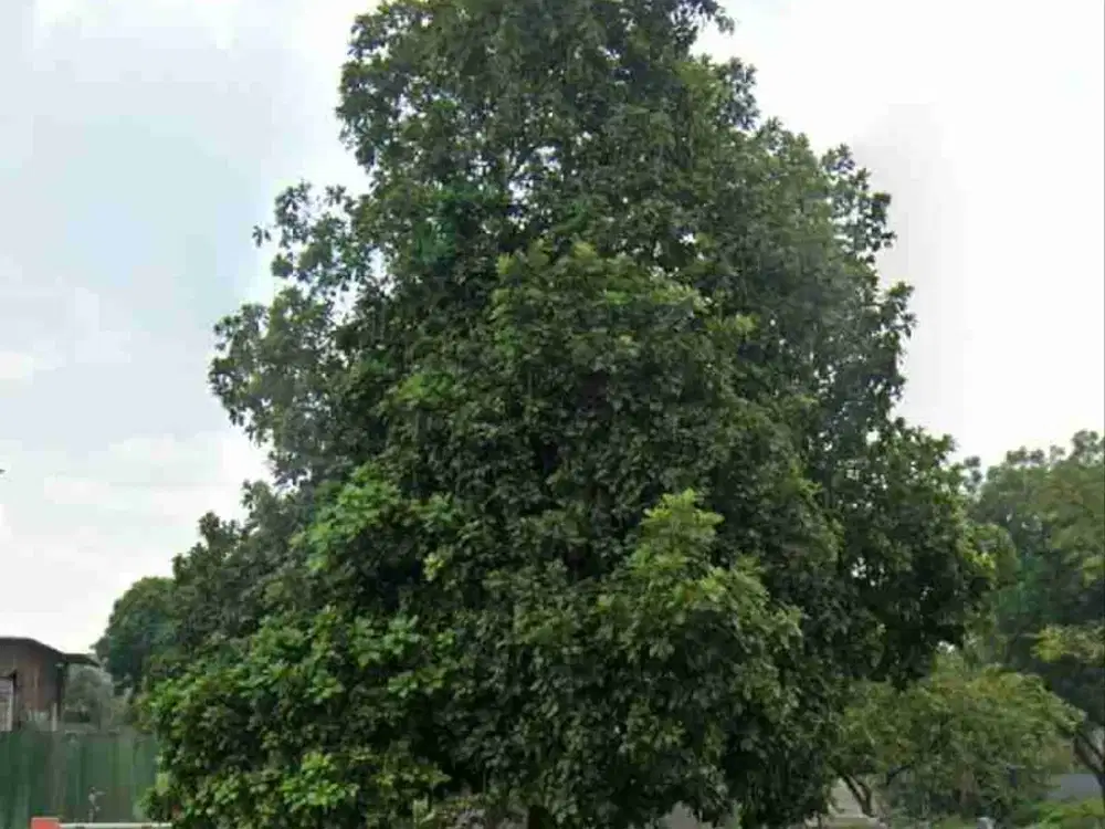 Jual Tanah di Teluk Golf, Citraland, Surabaya