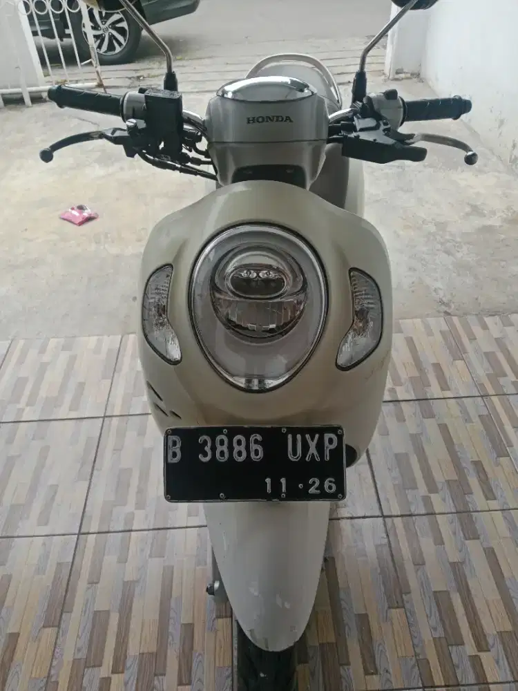 scoopy kayles tahun 2021 surat lengkap pejek telat