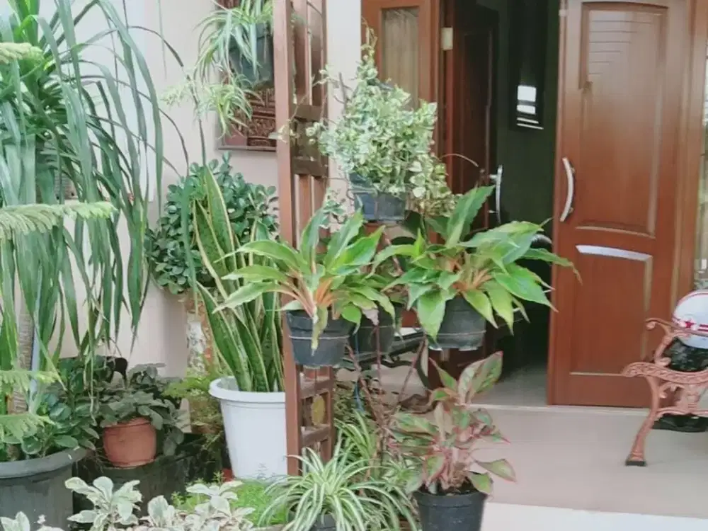 Dijual Segera Rumah Di Cisaranten Arcamanik Bandung dekat mesjid