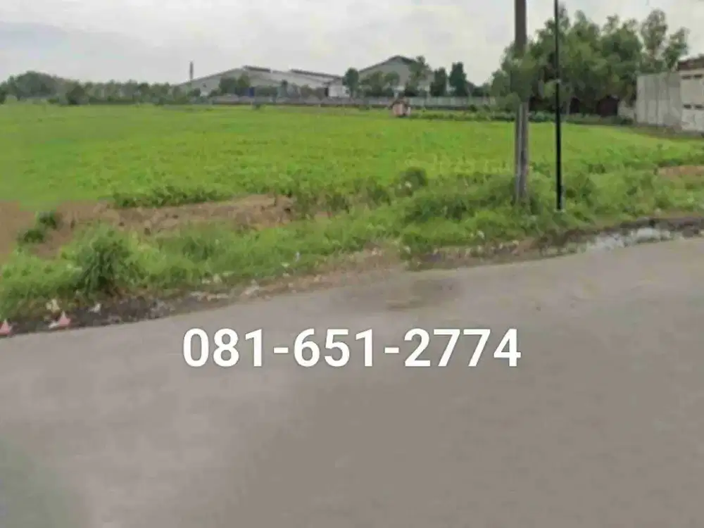 Tanah Raya Wringinanon Gresik