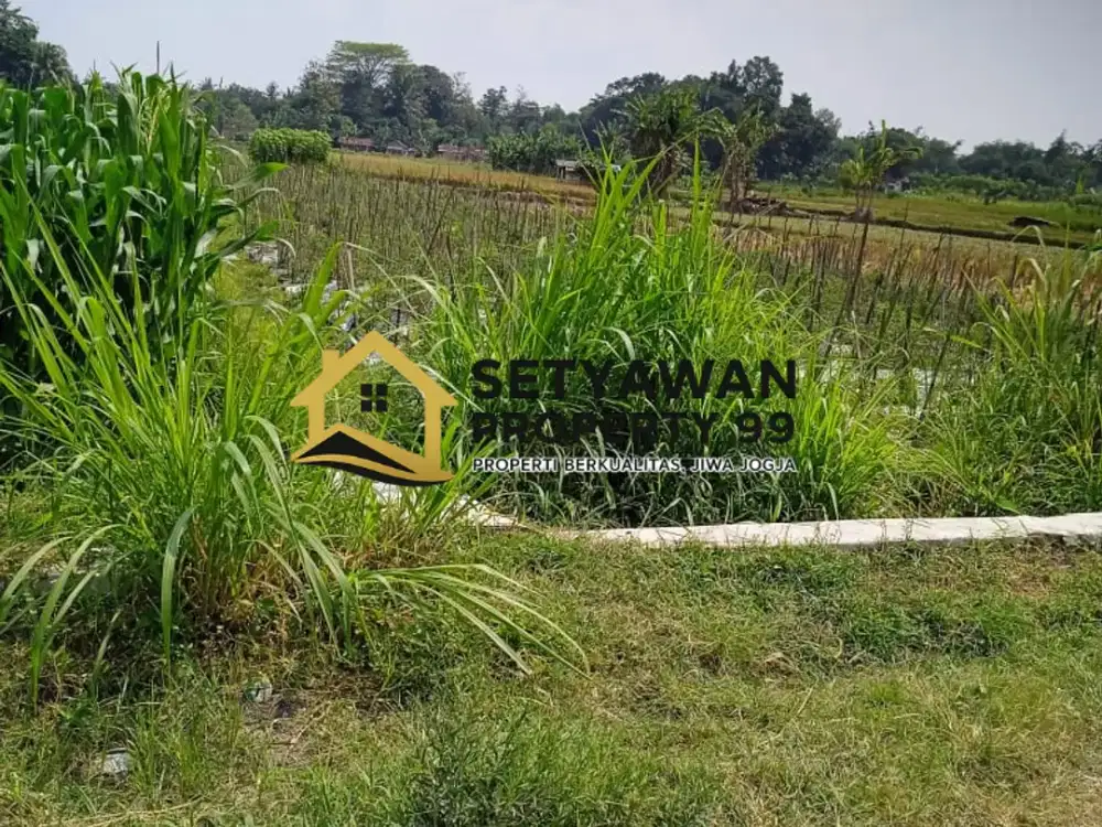 DIJUAL SHM SAWAH PERTANIAN AREA SEYEGAN SLEMAN