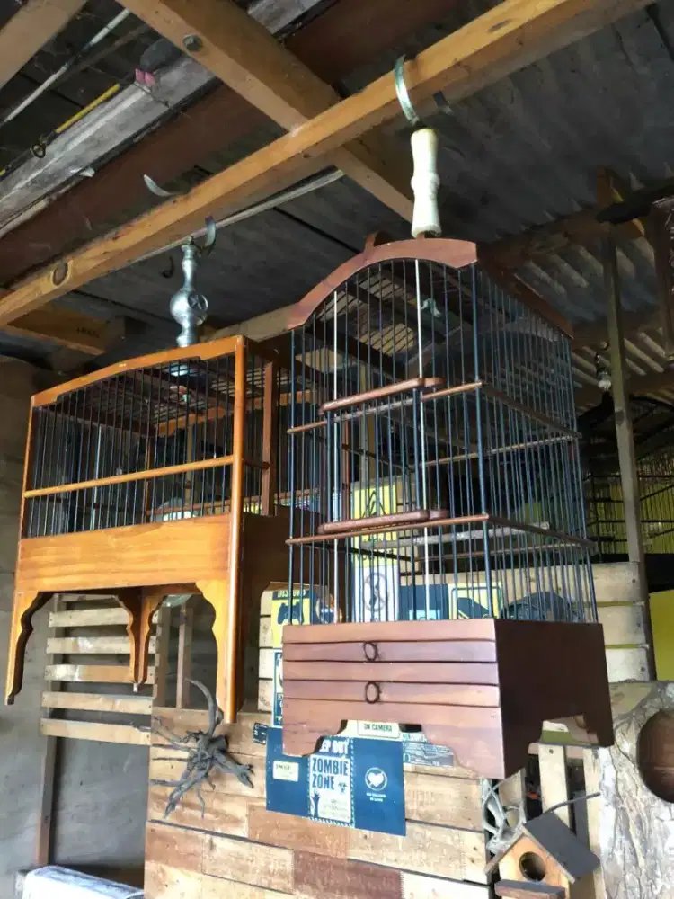 Sangkat burcil jati alusan borongan