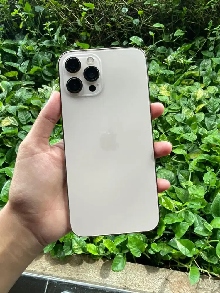 Iphone 12 pro max 128gb inter all op