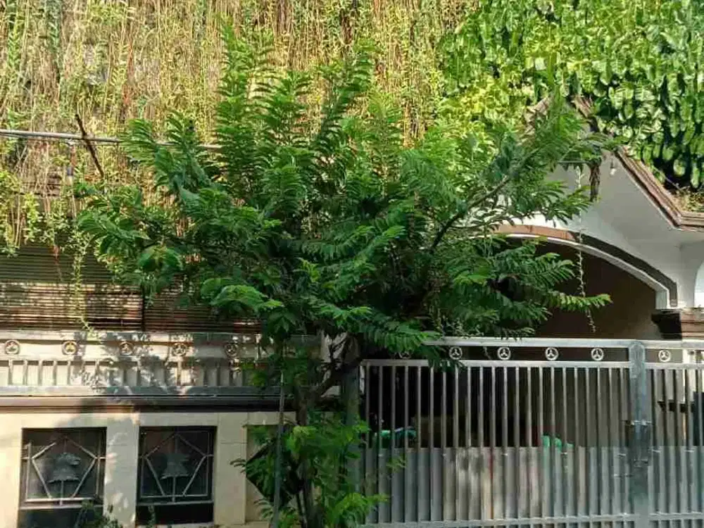 Jual Cepat Rumah Mewah Harga Murah