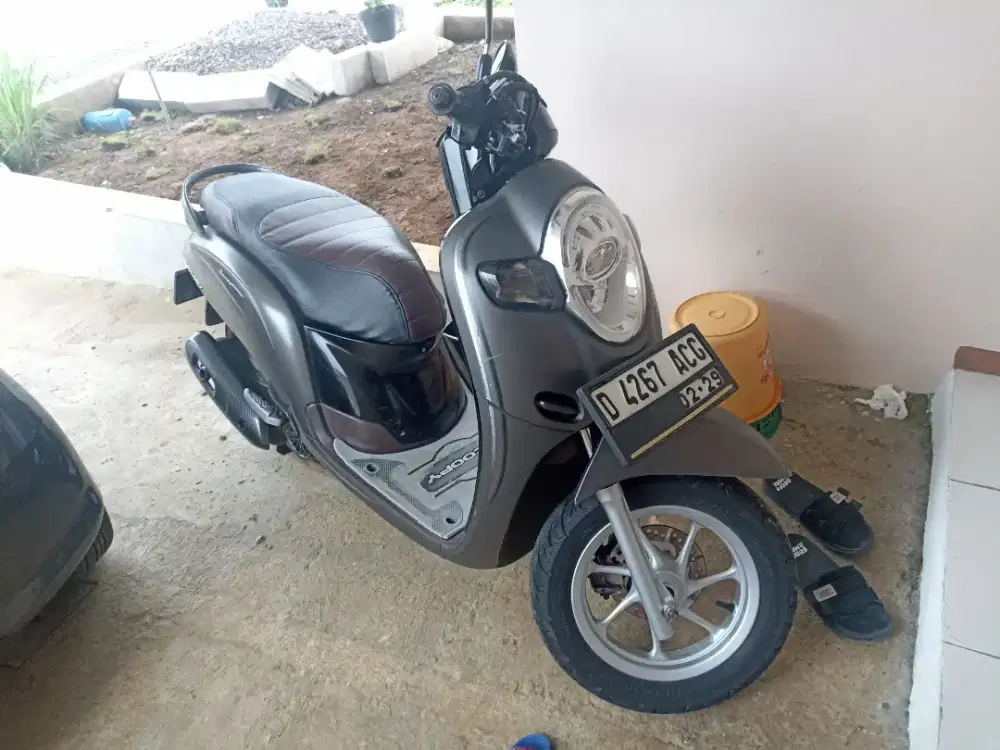 Honda Scoopy 2019