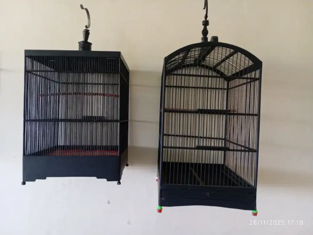 Kandang burung kacer