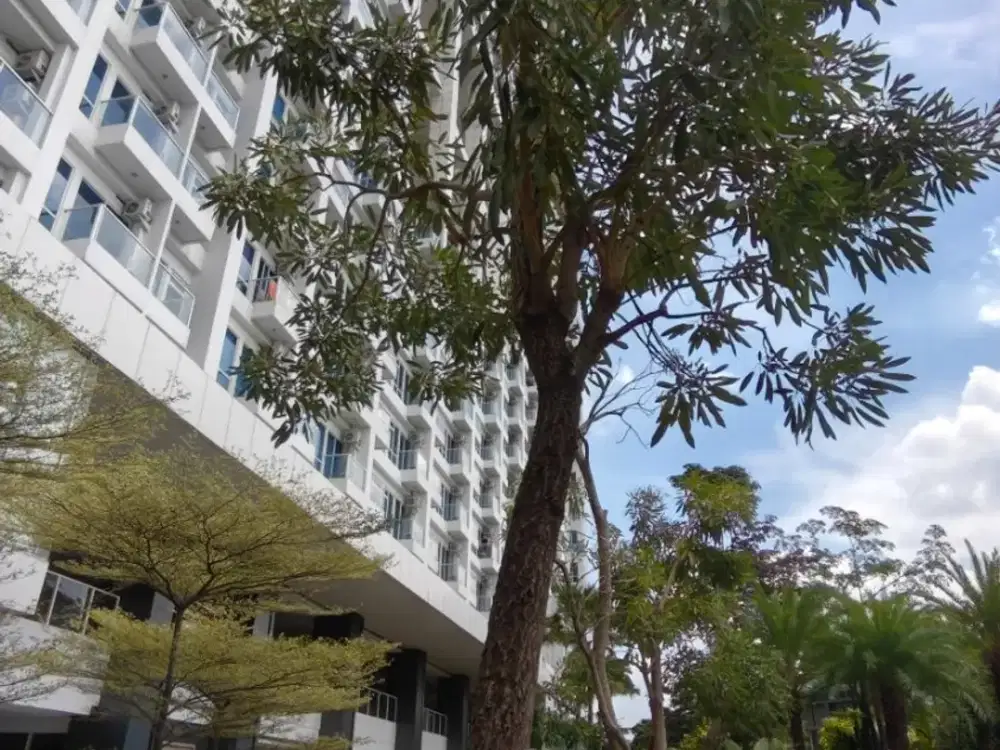 Disewakan Apartemen Puri Mansion 2 Kamar Tidur Kondisi Furnish Harga Termurah View Cantik