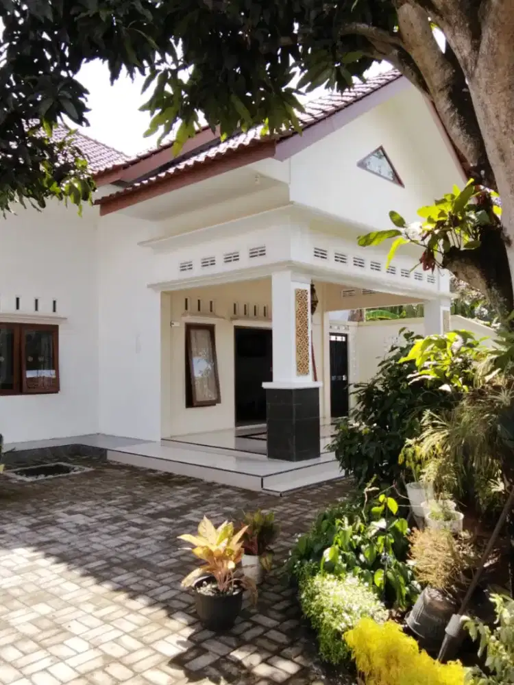 Rumah disewakan di lokasi strategis