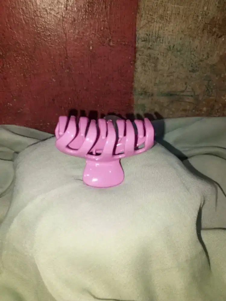 Jepitan rambut wanita